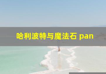 哈利波特与魔法石 pan